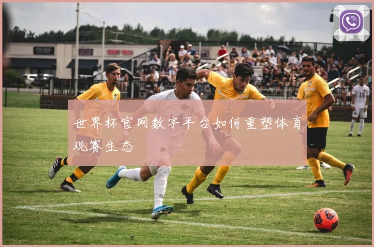 世界杯官网数字平台如何重塑体育观赛生态