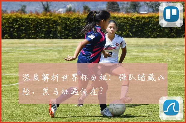 深度解析世界杯分组：强队暗藏凶险，黑马机遇何在？