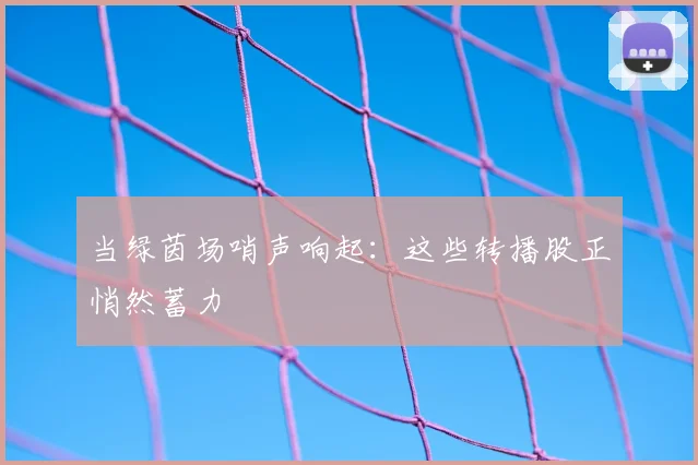 当绿茵场哨声响起:这些转播股正悄然蓄力