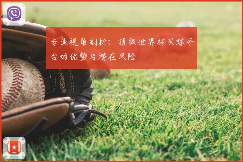 专业视角剖析：顶级世界杯买球平台的优势与潜在风险