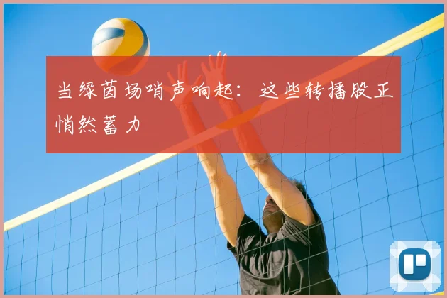 当绿茵场哨声响起:这些转播股正悄然蓄力