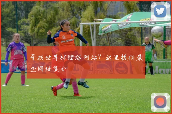 寻找世界杯赌球网站?这里提供最全网址集合