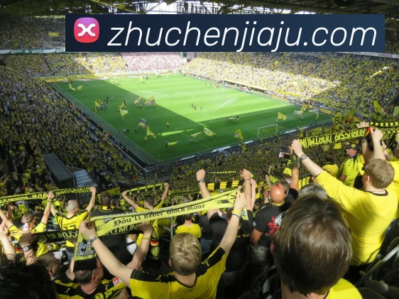 mksports官方app官网入口APP 体育赛事宣传图